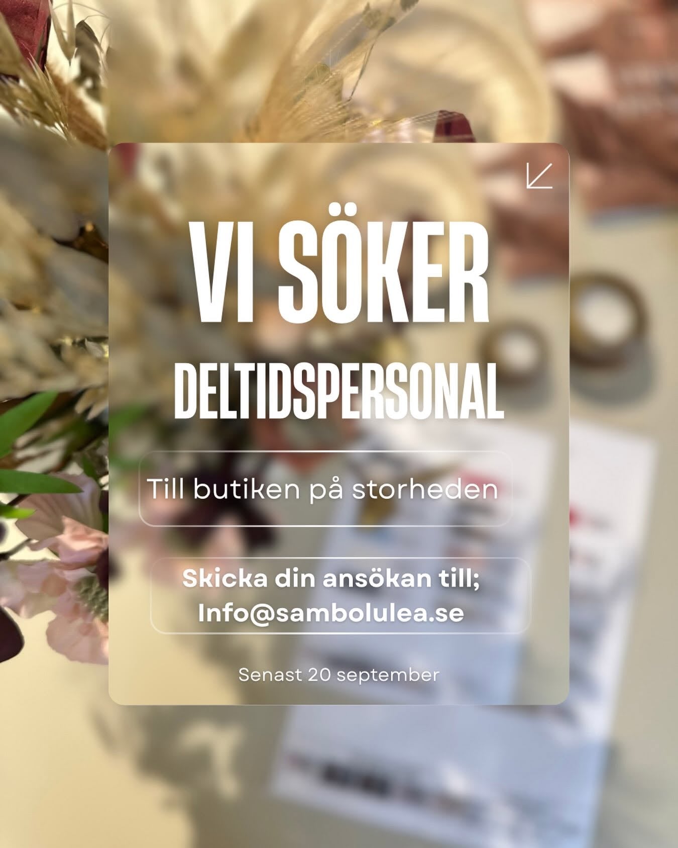 Deltidsmedarbetare inom butik & e-handel – Shopify, SEO och sociala medier